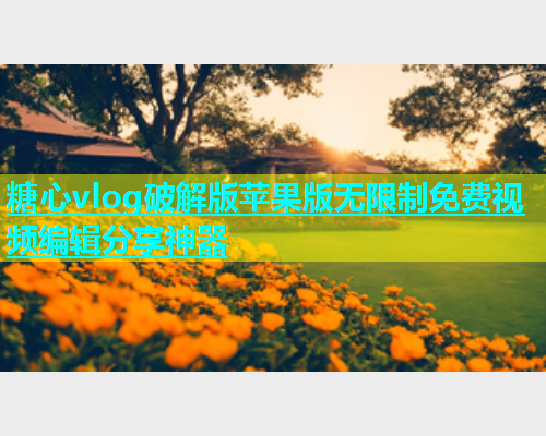 糖心vlog破解版苹果版无限制免费视频编辑分享神器  第1张